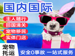 鞍山腾鳌机场空运国际宠物托运 【国